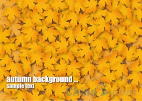 秋季枫叶背景图矢量设计